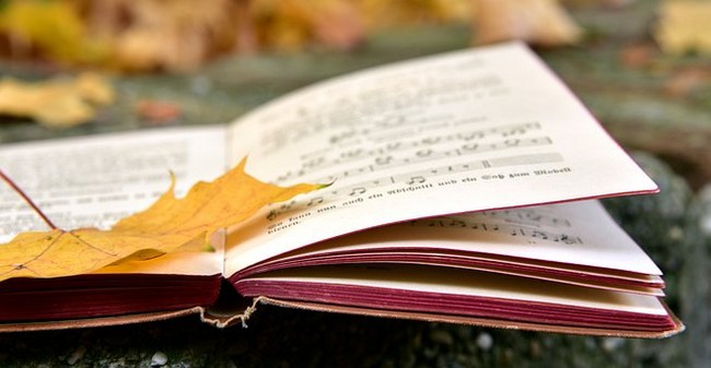 秋天的叶子200字作文